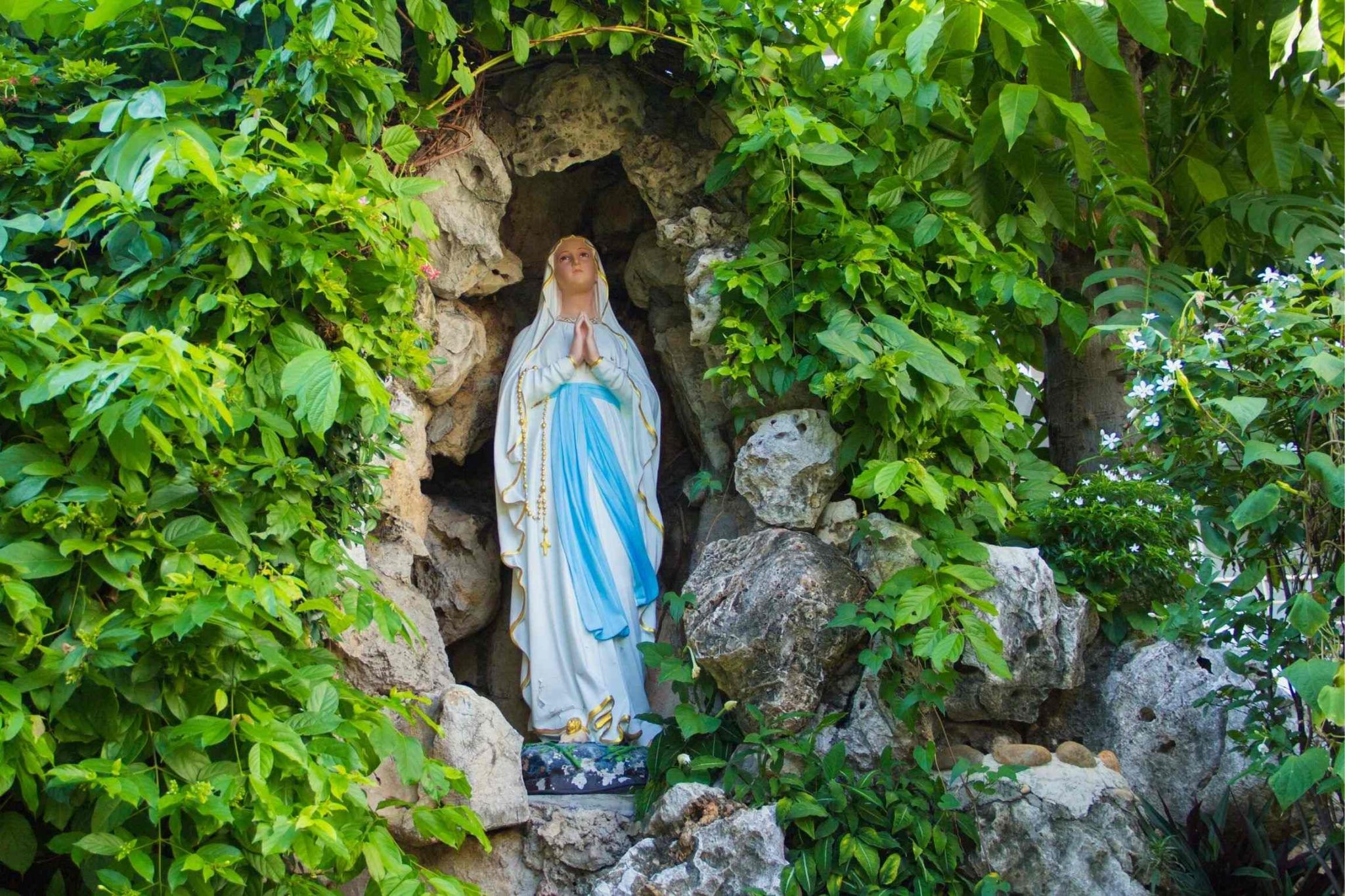 11 interesting facts about Lourdes Joe Walsh Tours