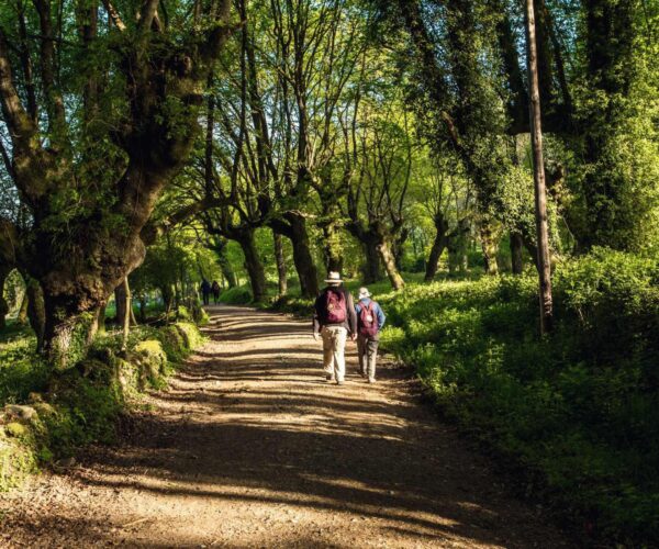 Santiago de Compostela Choir Tour for groups - Camino - Joe Walsh Tours